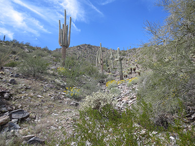 Casa grande Park